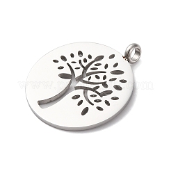 304 Stainless Steel Pendants&nbsp;STAS-P393-03P