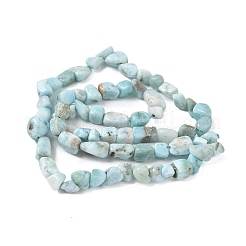 Natural Larimar Beads Strands&nbsp;G-K203-48