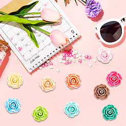 60Pcs 10 Colors Opaque Resin Cabochons&nbsp;CRES-CP0001-06