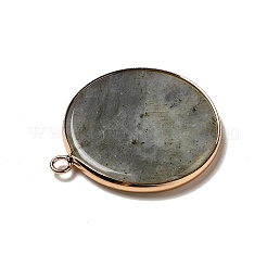 Natural Labradorite Pendants&nbsp;G-A213-01G-12