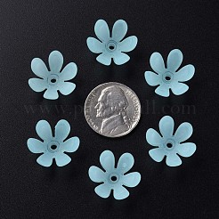 Transparent Acrylic Beads&nbsp;MACR-S373-47-D07
