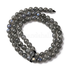Natural Labradorite Beads Strands&nbsp;G-H326-01-6mm
