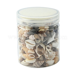 12 Styles Natural Mixed Shell Beads&nbsp;SSHEL-YW0001-05