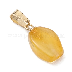 Gradient Color Natural Amber Pendants&nbsp;PALLOY-JF04930-02