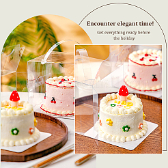 Foldable Transparent Plastic Single Cake Gift Packing Box&nbsp;CON-WH0084-42A