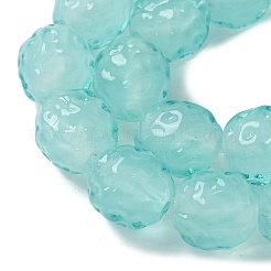 Handmade Lampwork Beads Strands&nbsp;LAMP-Z011-01J