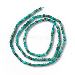 Natural Chrysocolla Beads Strands&nbsp;G-F717-06