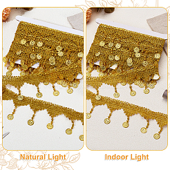 4.5m Sparkle Polyester Tassel Lace Trims&nbsp;OCOR-PH0003-88