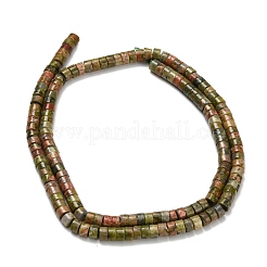 Natural Unakite Beads Strands&nbsp;G-Z110-A24-2x4mm