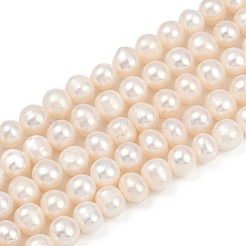 Natural Cultured Freshwater Pearl Beads Strands&nbsp;PEAR-I007-07Y-04A
