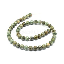 Natural Rhyolite Jasper Beads Strands&nbsp;X-G-F674-03A-8mm