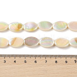 Natural Freshwater Shell Beads Strands&nbsp;BSHE-H018-06