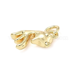 Brass Pendants&nbsp;ZIRC-I356-20G