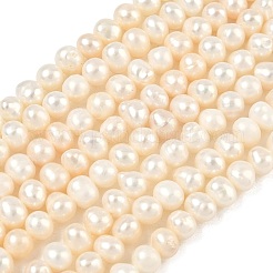 Natural Cultured Freshwater Pearl Beads Strands&nbsp;PEAR-RM241213-2