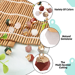 12Pcs 6 Style Natural Gemstone Charms&nbsp;G-FW0001-24
