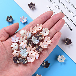 6-Petal Spray Painted Acrylic Bead Caps&nbsp;MACR-S373-46J