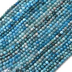 Natural Apatite Beads Strands&nbsp;G-L626-A01-6mm-01
