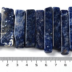 Natural Sodalite Beads Strands&nbsp;G-L551B-16