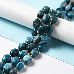 Natural Apatite Beads Strands&nbsp;G-B028-B09