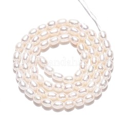 Natural Cultured Freshwater Pearl Beads Strands&nbsp;PEAR-N024-03-2AB