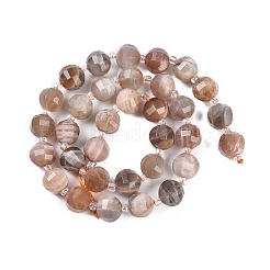 Natural Multi-Moonstone Beads Strands&nbsp;G-G182-B04-05