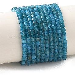 Natural Apatite Beads Strands&nbsp;G-K376-D05-3x3mm