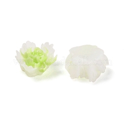 Luminous Resin Decoden Cabochons&nbsp;RESI-K036-06F-02