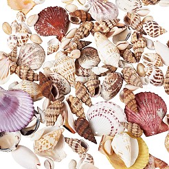 Mixed Shell Beads&nbsp;BSHE-TA0002-05