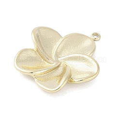 304 Stainless Steel Pendants&nbsp;STAS-L022-420G