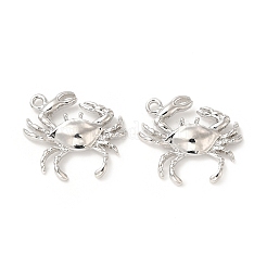 Rack Plating Alloy Pendants&nbsp;FIND-G044-18P