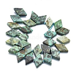 Natural African Turquoise(Jasper) Beads Strands&nbsp;G-K245-E01-01