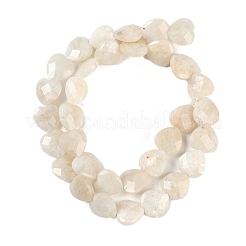 Natural Rainbow Moonstone Beads Strands&nbsp;G-G118-A01-01