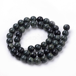 Natural Kambaba Jasper Beads Strands&nbsp;G-Q481-103