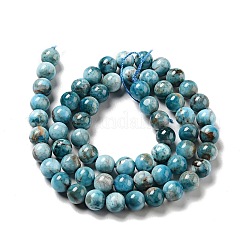 Natural Apatite Beads Strands&nbsp;X-G-G858-01A