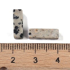 Natural Dalmatian Jasper Beads&nbsp;G-G137-01N