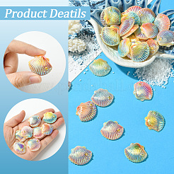 40Pcs 4 Colors Opaque Resin Cabochons&nbsp;CRES-SC0003-11