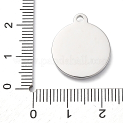 304 Stainless Steel Pendants&nbsp;STAS-S163-30P