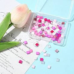 100Pcs 10 Styles 2-Hole Drawbench Glass Seed Beads&nbsp;SEED-FS0001-46