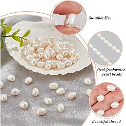 2 Strands Natural Cultured Freshwater Pearl Beads Strands&nbsp;PEAR-NB0001-70