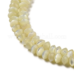 Natural Trochus Shell Rondelle Beads Strands&nbsp;SSHEL-H072-01A
