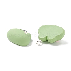 Resin Pendants&nbsp;RESI-K018-05