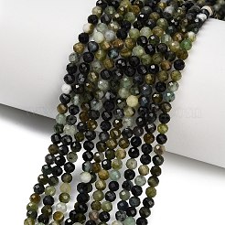 Natural Green Tourmaline Beads Strands&nbsp;G-C262-A05-3mm