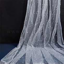 2Pcs Nylon Lace Fabric&nbsp;DIY-PH0029-43A