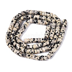 Natural Dalmatian Jasper Beads Strands&nbsp;G-Q606-46A-01