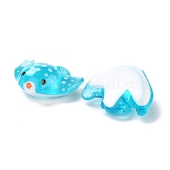Transparent Resin Cabochons&nbsp;LS-RESI-I043-01