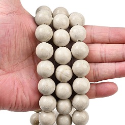 Natural Petrified Wood Beads Strands&nbsp;G-L648-A03-16mm-01