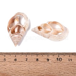 Natural Shell Pendants&nbsp;SSHEL-N042-22
