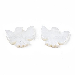 Natural Freshwater Shell Beads&nbsp;X-SHEL-N026-76-01