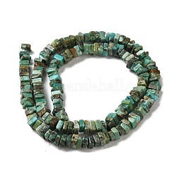 Natural Turquoise Beads Strands&nbsp;G-P506-01