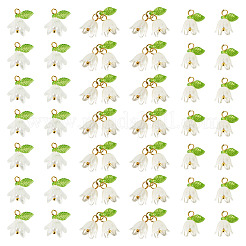 60Pcs 3 Styles ABS Plastic Imitation Pearl & Acrylic Pendants&nbsp;PALLOY-TAC0280